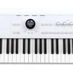Arturia AstroLab 61-Key Semi-Weighted Stage Keyboard — With 1300 Sounds and Analog Lab Pro Software Included