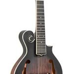 Gold Tone, 6-String Mandolin, Sunburst (F-6)
