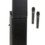 Anchor Audio Bigfoot Line Array Dual Package with Two Wireless Microphones