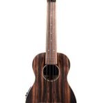 Kala UBASS-EBY-FL Striped Ebony Fretless U-Bass Acoustic-Electric Ukulele Bass Natural