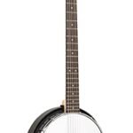 Gold Tone AC-6+: Acoustic Composite Banjitar with Pickup and Gig Bag - Guitar-Banjo