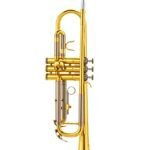 Trumpet-Standard (TR-2110)