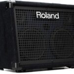 Roland KC-220 Battery-Powered Stereo Keyboard Amplifier, 30-Watt (15W + 15W)