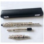 Flute Musical Instrument Flute Instrument Silver Plated Flutes Split E Mechanism B Leg Flute 17 Holes Open (Color : 17 Holes Open)