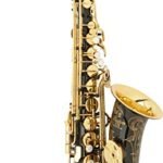 Yamaha YAS875EX Alto Saxophone (Gold Lacquer Finish)
