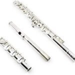 DZ-700 Advanced Flute