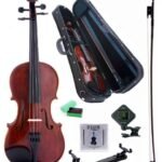 D'Luca PD01 Orchestral Series Intermediate Violin Outfit - 4/4