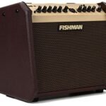 Fishman Loudbox Mini BT 60-Watt 1x6.5 Inches Acoustic Combo
